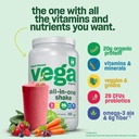 vega-organic-all-in-one-vegan-protein-po-4.jpg