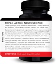forebrain-nootropic-brain-supplement-to--2.jpg