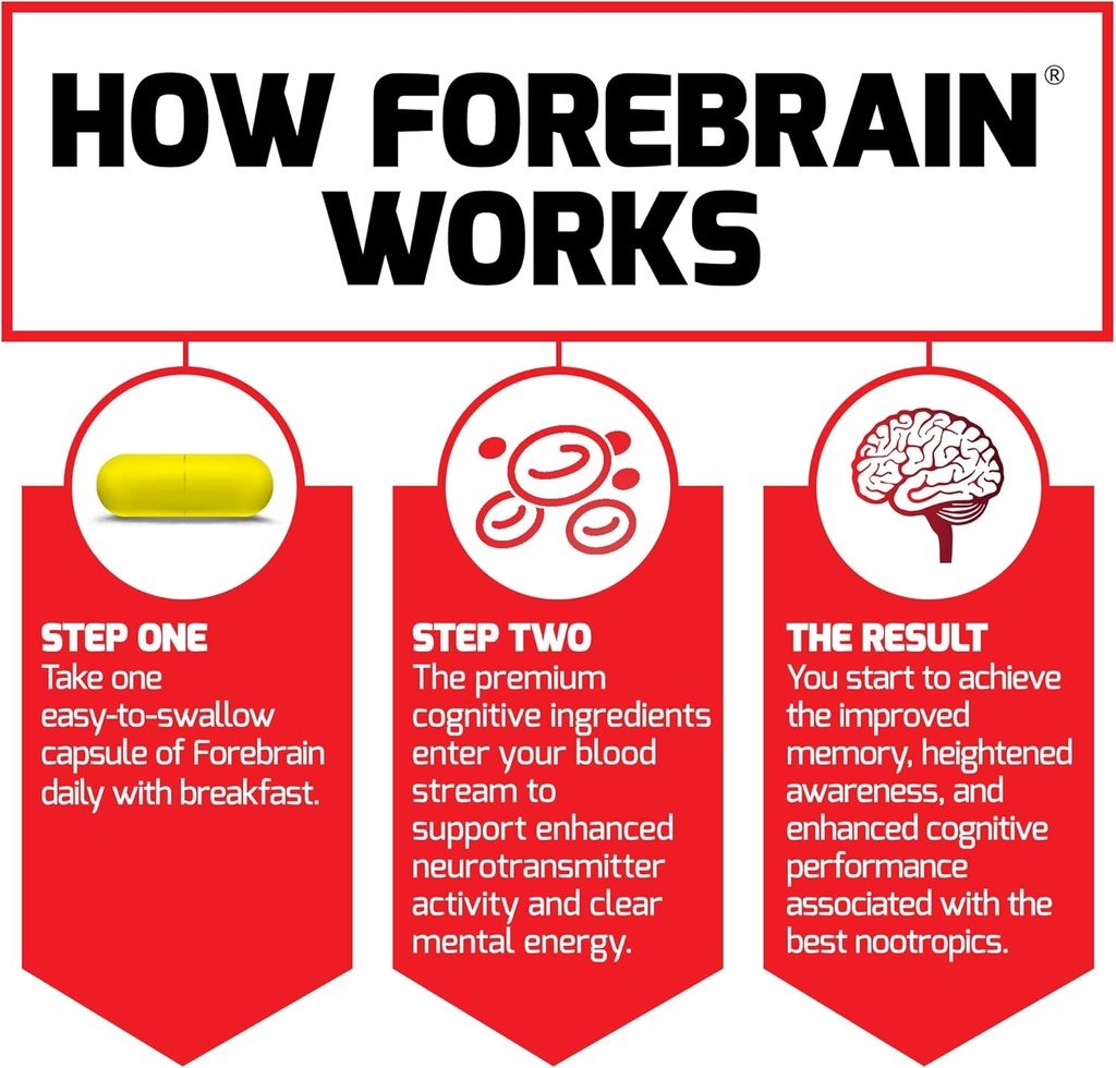 forebrain-nootropic-brain-supplement-to--4.jpg