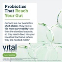 hyperbiotics-vital-nutrients-pro-15-adva-5.jpg