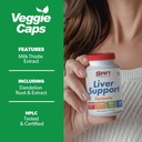 sans-liver-support-matrix---liver-cleans-3.jpg