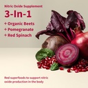 snap-supplements-usda-organic-beet-root--2.jpg