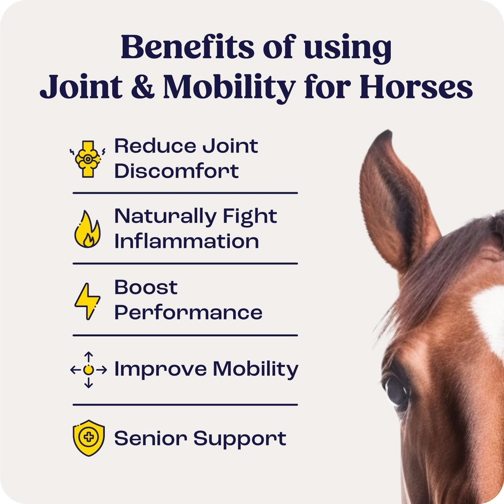 summit-equine-joint-mobility-bites-daily-3.jpg