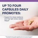 metagenics-adreset---adaptogen-formula-w-3.jpg