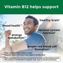 nature-made-vitamin-b12-500-mcg-dietary--3.jpg
