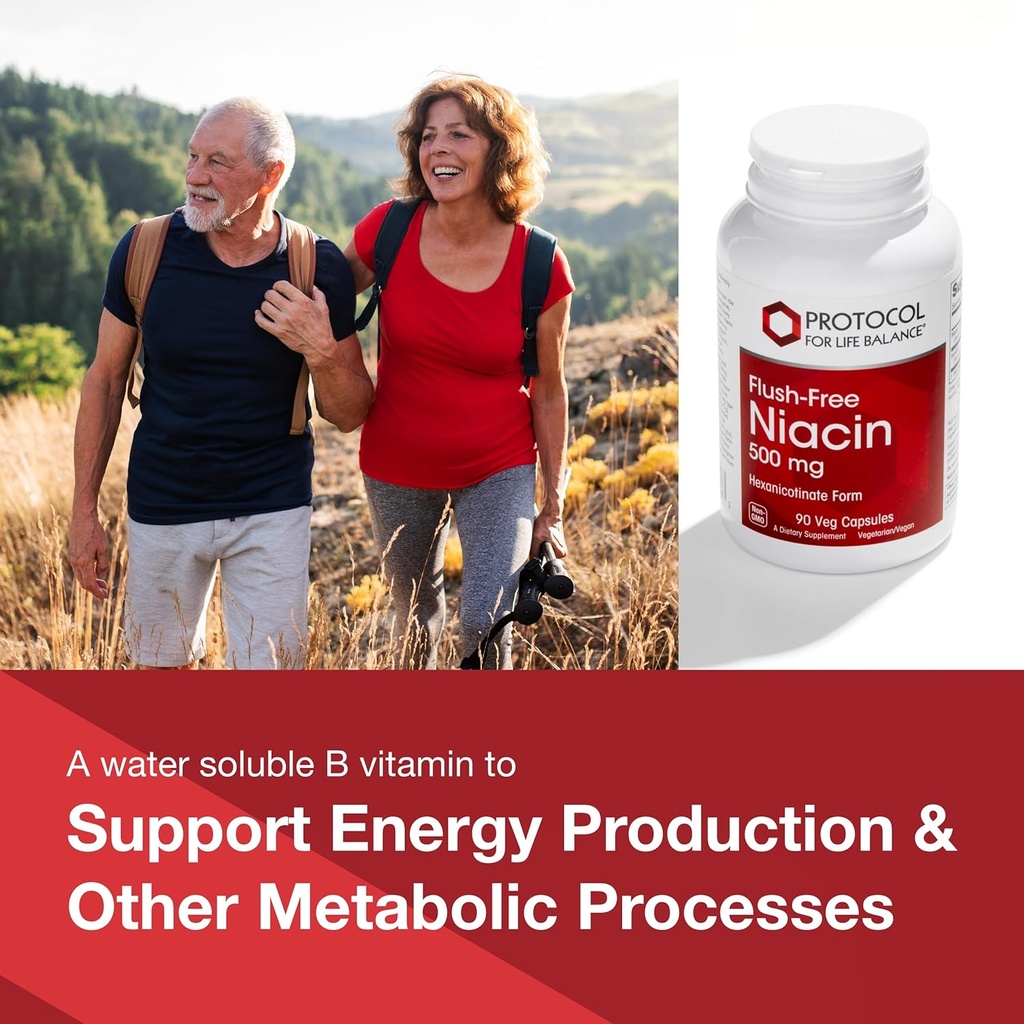 protocol-niacin-500mg---inositol-hexanic-3.jpg
