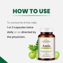 generic-rise-amla-capsules-60_-organic-a-4.jpg