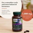 gaia-herbs-vitex-berry-chaste-tree---sup-4.jpg