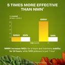 liposomal-nmnh-supplement-dihydronicotin-2.jpg