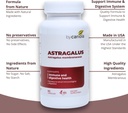 astragalus-root-capsules---immune-digest-4.jpg