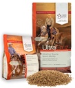 ultracruz-equine-sperm-motility-enhancer-4.jpg