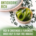 xprs-nutra-organic-kelp-powder-ascophyll-2.jpg
