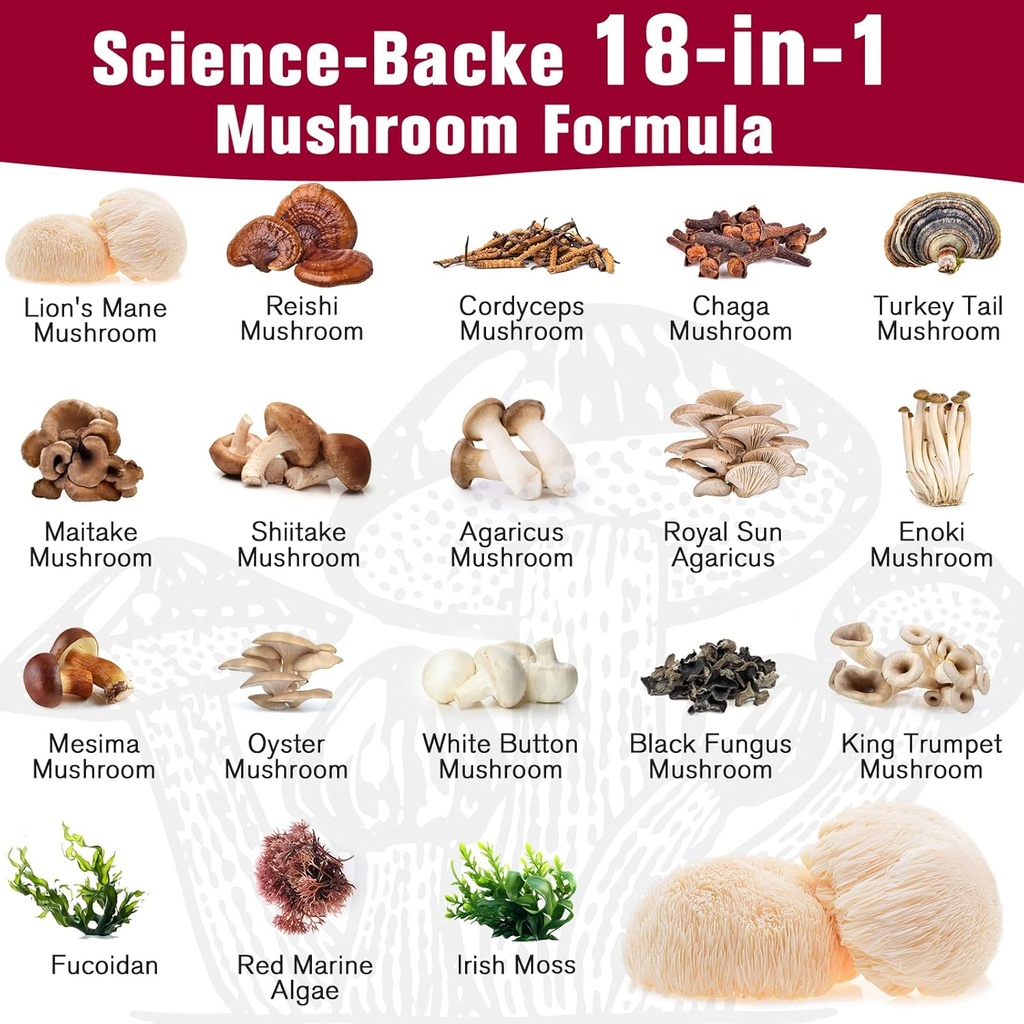 sublingual-mushroom-complex-18-in-1-mush-5.jpg