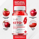 2-pack-slimx-keto-acv-gummies---advanced-5.jpg