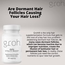groh-daily-vitality-boost---all-natural--6.jpg