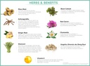 hormone-balance-for-women-menopause-and--5.jpg