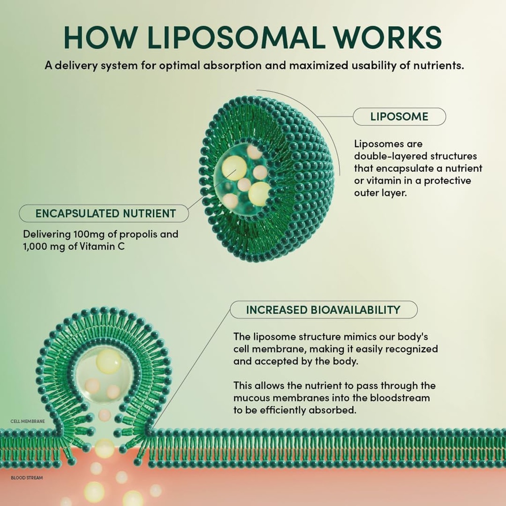 propolis-liposomal-vitamin-c-by-beekeepe-5.jpg