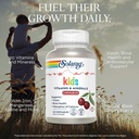 solaray-childrens-vitamins-minerals-comp-3.jpg