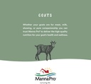 manna-pro-suckle-pro-calf-milk-replacer--6.jpg