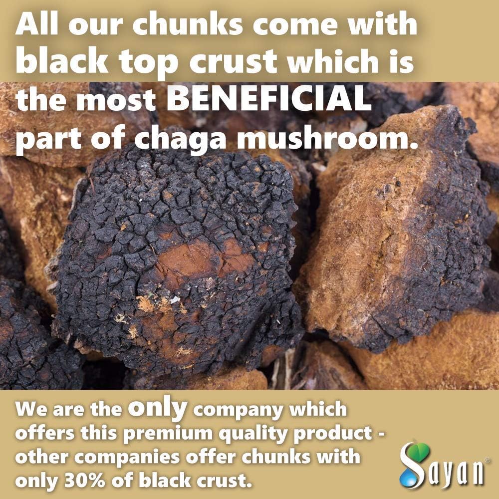 sayan-siberian-pure-raw-chaga-mushroom-c-3.jpg
