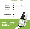 ziggy-health-inner-balance-tincture---in-4.jpg