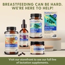 motherlove-more-milk-special-blend-120-c-4.jpg