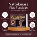 nattokinase-plus-fucoidan-for-circulator-2.jpg