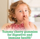 garden-of-life-kids-probiotics-gummies-c-3.jpg