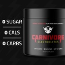 premium-hydration-powder-for-carnivore-d-2.jpg