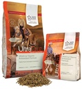 ultracruz-equine-antioxidant-formula-10--4.jpg