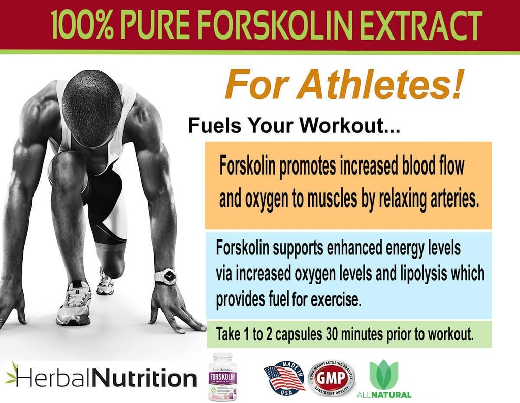 forskolin-for-weight-loss-250mg-500mg-ma-3.jpg