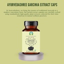 garcinia-extract-500mg---60-vegetarian-c-3.jpg