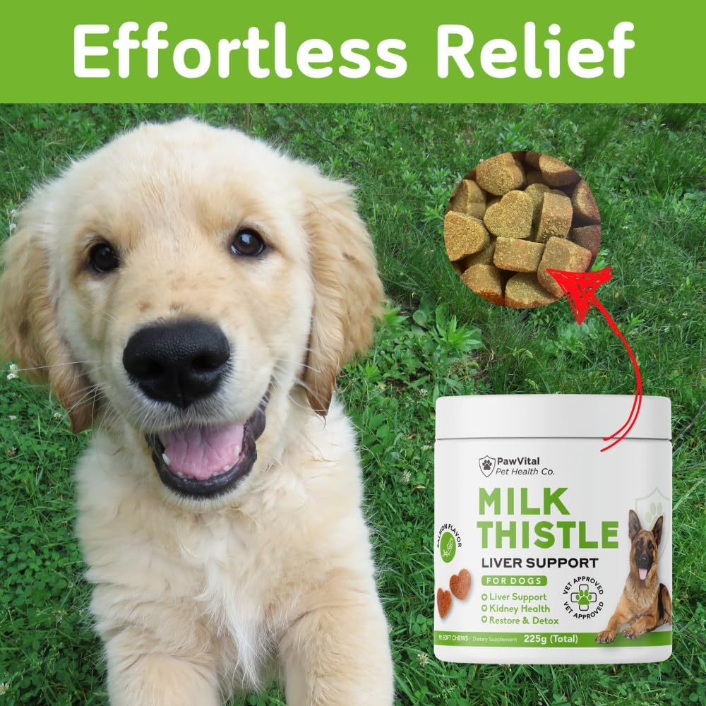 milk-thistle-for-dogs---max-strength-liv-6.jpg