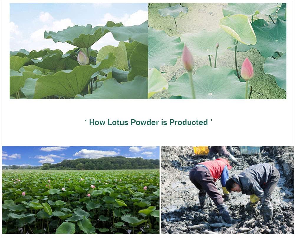 lotus-root-powder-7oz200g-natural-100-pu-4.jpg