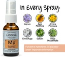 liddell-homeopathic-menopause-spray-1-ou-5.jpg