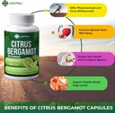 25x-concentrated-citrus-bergamot-extract-6.jpg