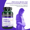 choline-prenatal-brain-and-cognitive-sup-3.jpg