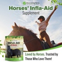 silver-lining-herbs-infla-aid-for-horses-6.jpg