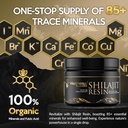 shilajit-resin-with-fulvic-acid-and-trac-3.jpg