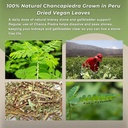 hanan-chanca-piedra-loose-leaf-herbal-te-6.jpg