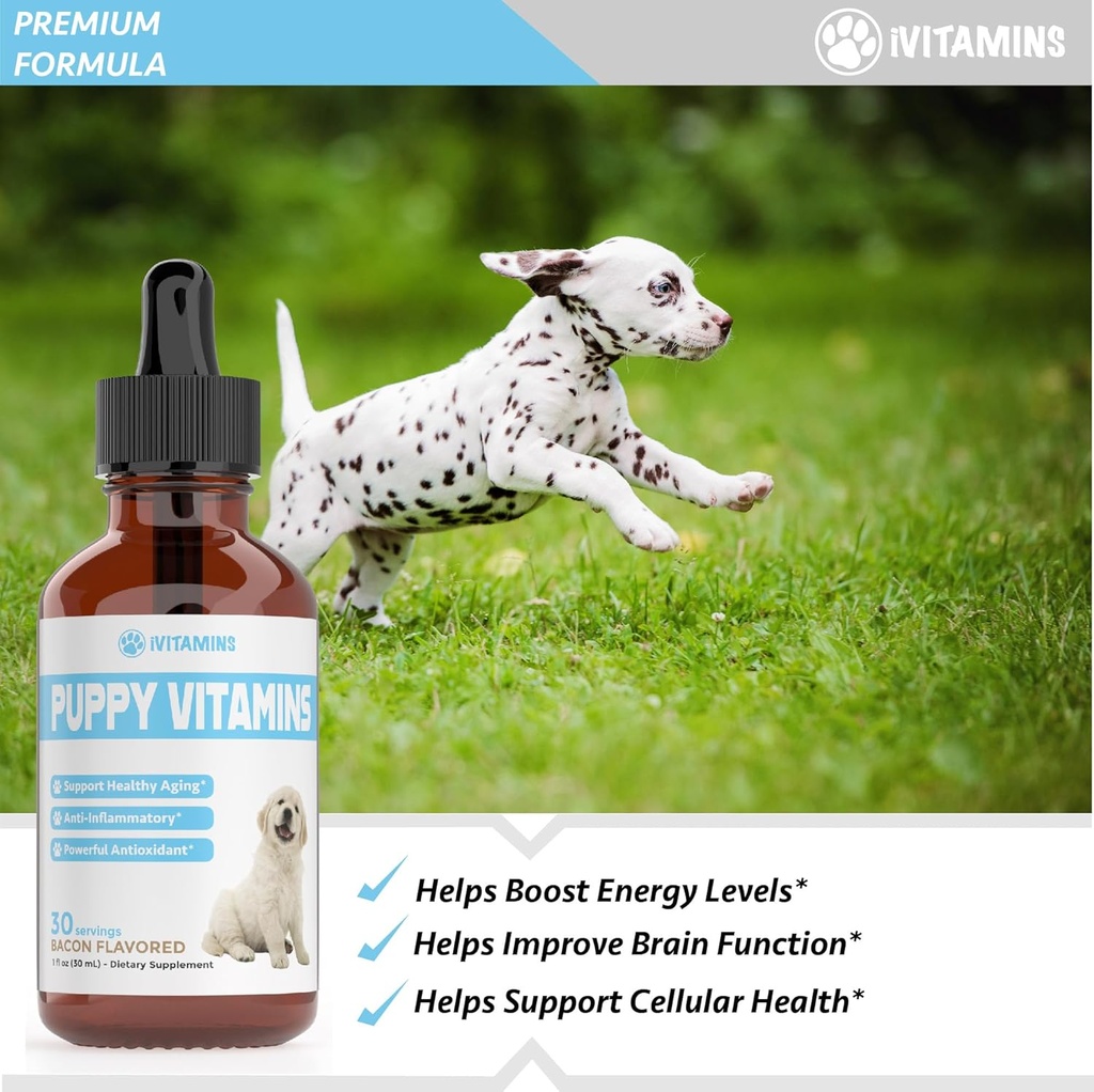 puppy-vitamins-puppy-supplements-puppy-v-3.jpg