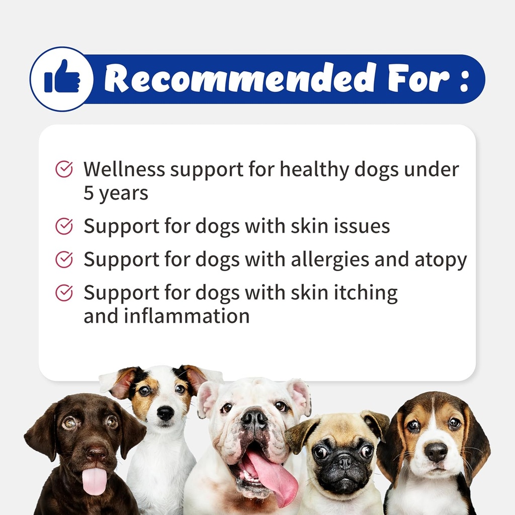 wellnessskin-support-echo-for-doggy---12-3.jpg
