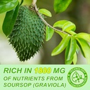 soursop-graviola-liquid-drop-organic-180-2.jpg