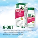 bell-bundle---stem-cell-supplements-g-ou-3.jpg