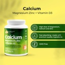 health-pyramid-calcium-magnesium-zinc-wi-2.jpg