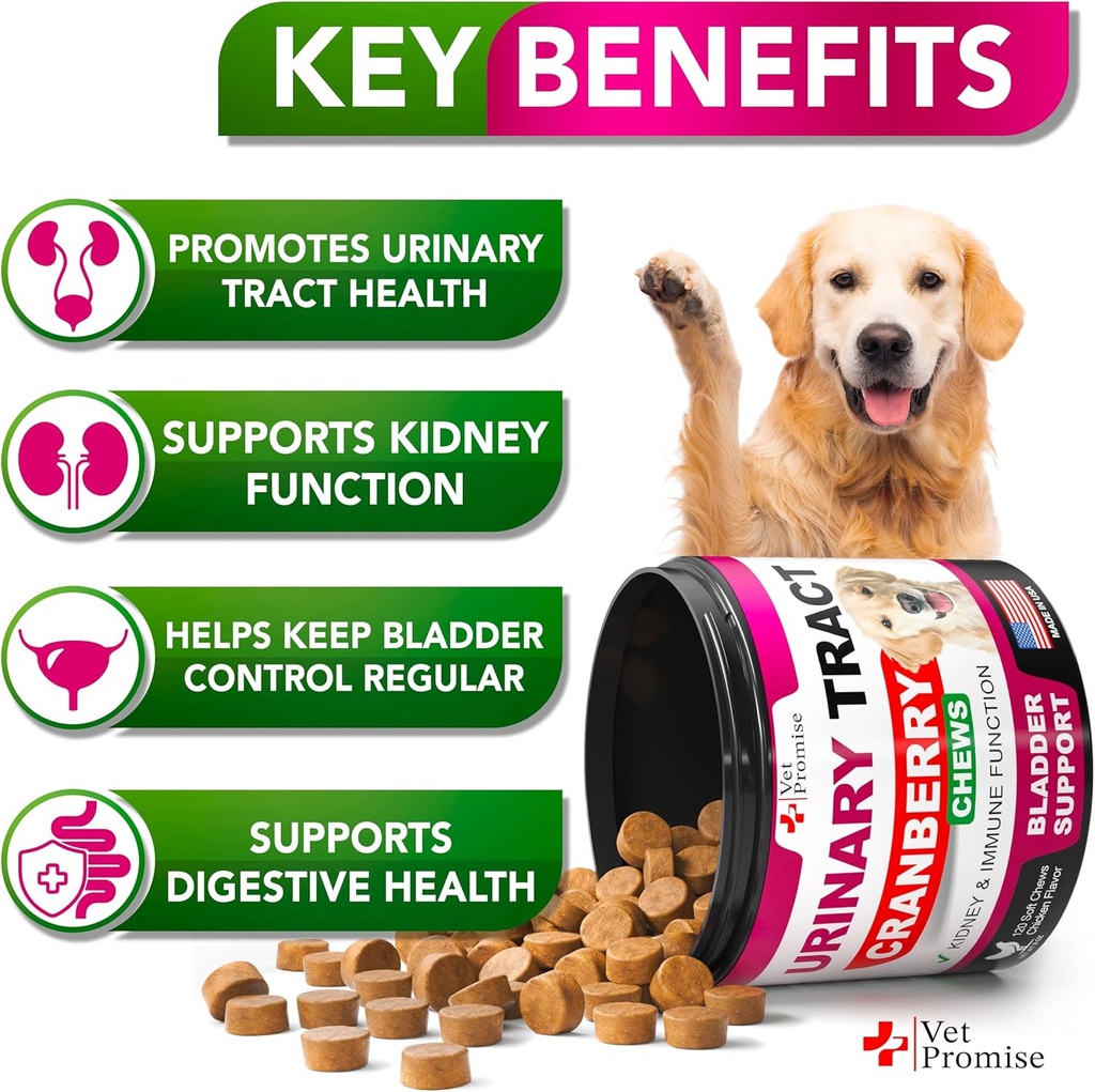 dog-uti-treatment---cranberry-supplement-2.jpg