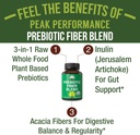 usda-organic-3-in-1-prebiotic-fiber---ve-2.jpg