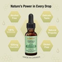 lovita-bee-propolis-liquid-extract-vitam-2.jpg