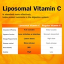 nyo3-liposomal-vitamin-c-powder-supports-4.jpg