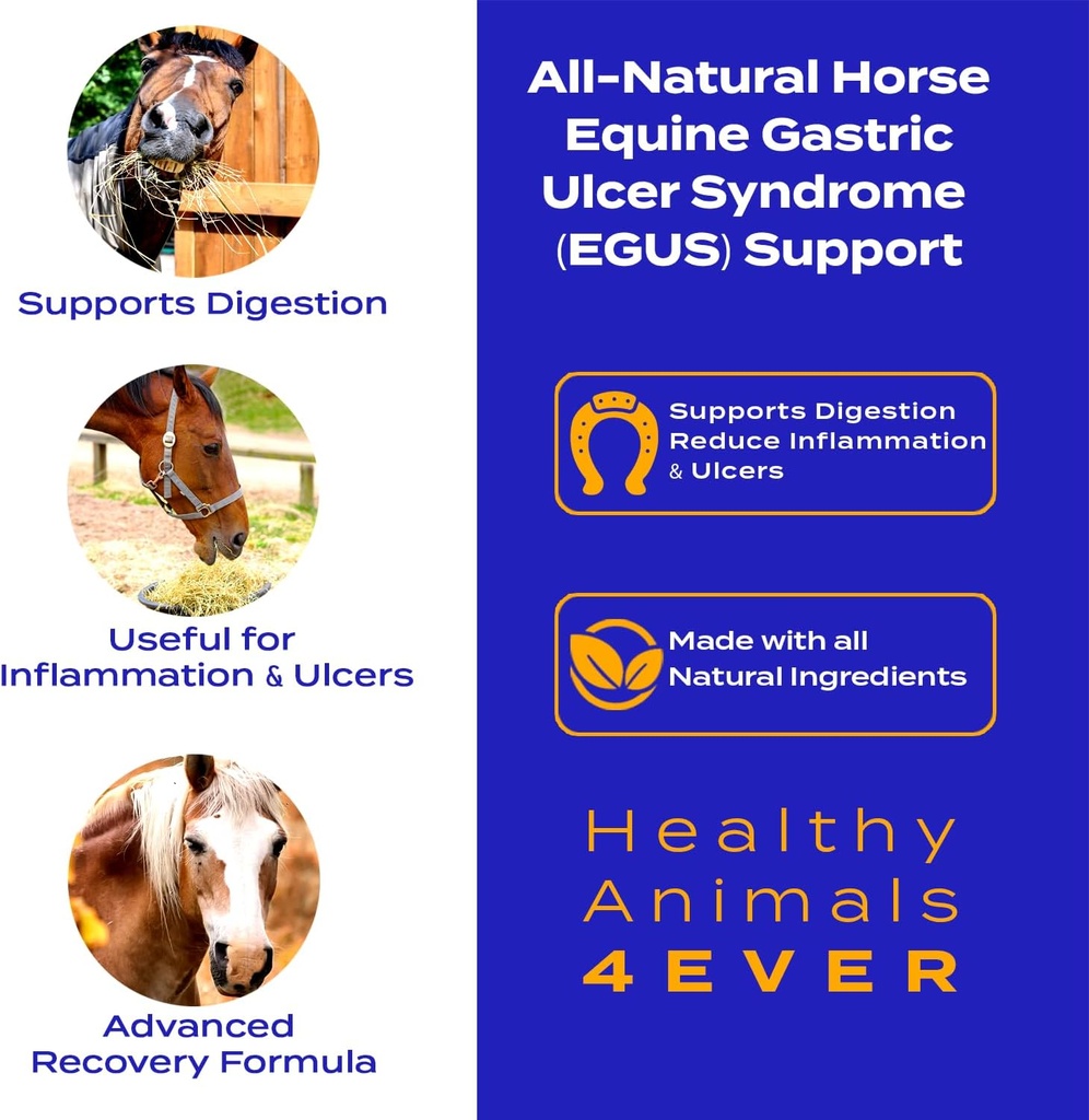 ha4e---horse-respiratory-issues-support--2.jpg